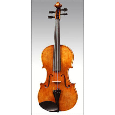 Harald Lorenz HL4 Intermediate Violin Outfit