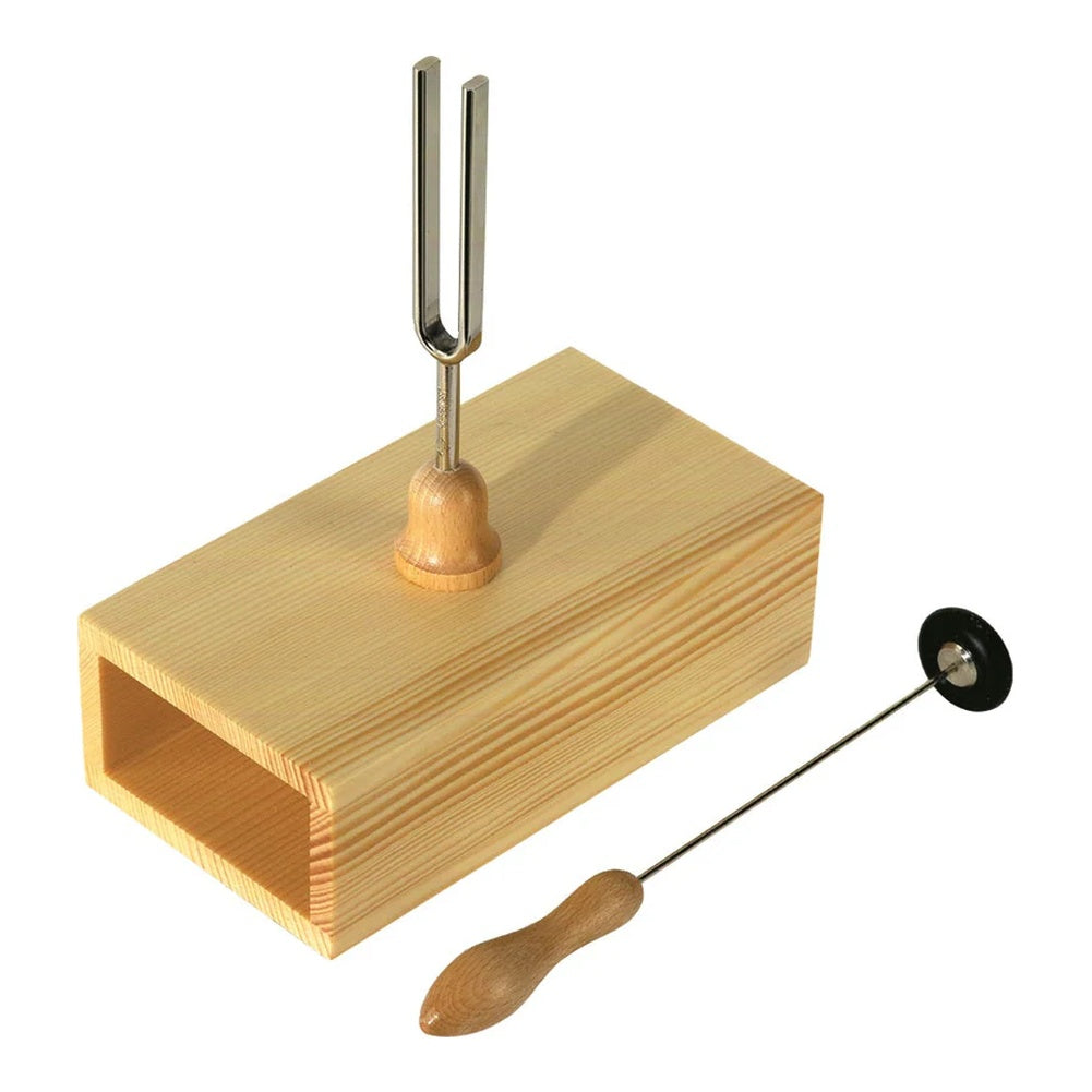 Tuning Fork With Resonance Case