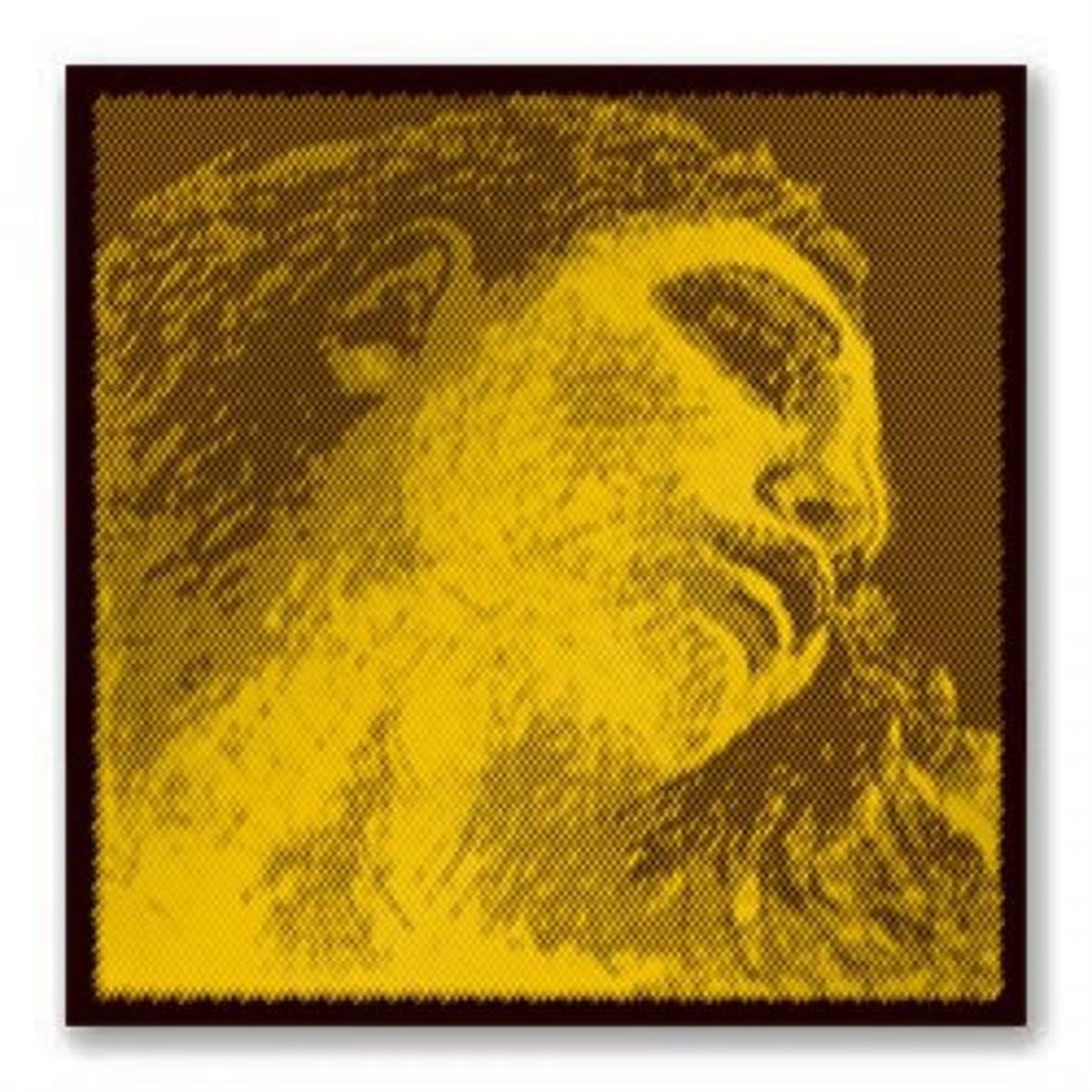 Evah Pirazzi Jeu de cordes pour violon doré