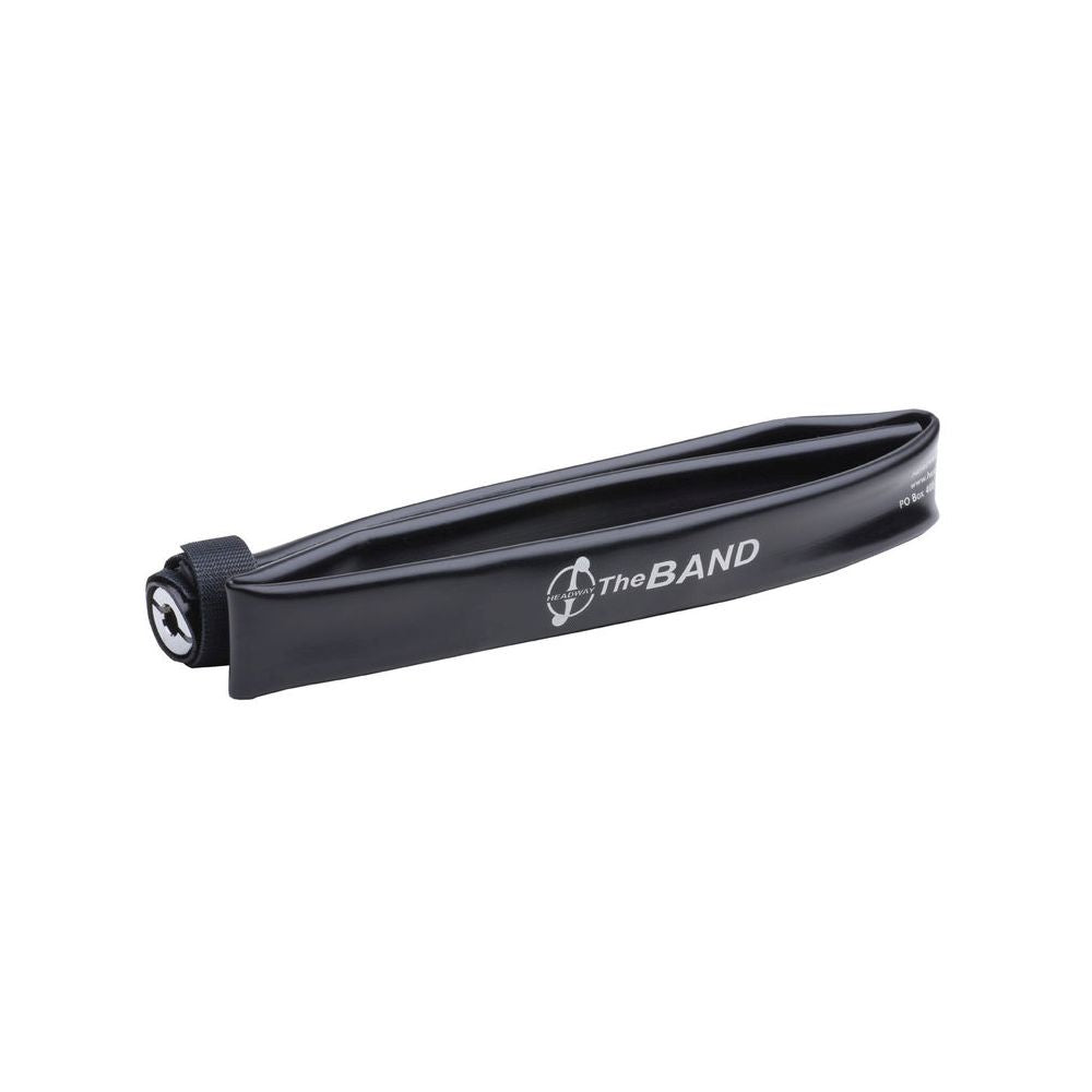 The Band Pickup for Violin