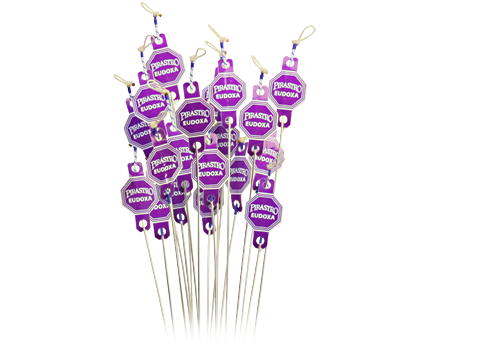 Cordes simples pour violon Eudoxa-Stiff