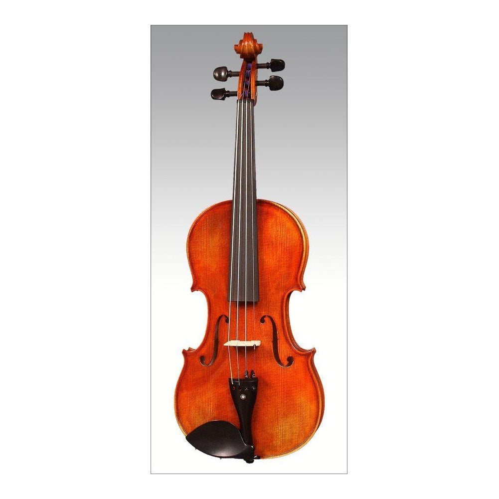 Handcrafted Model 028 Advanced Violin Outfit