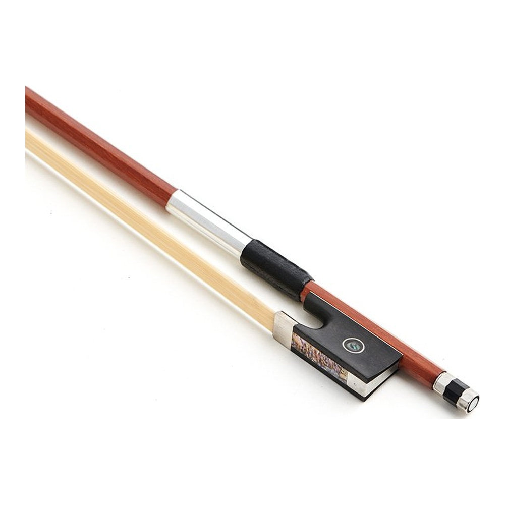 Ensemble de violon pour débutant à intermédiaire (niveau avancé)