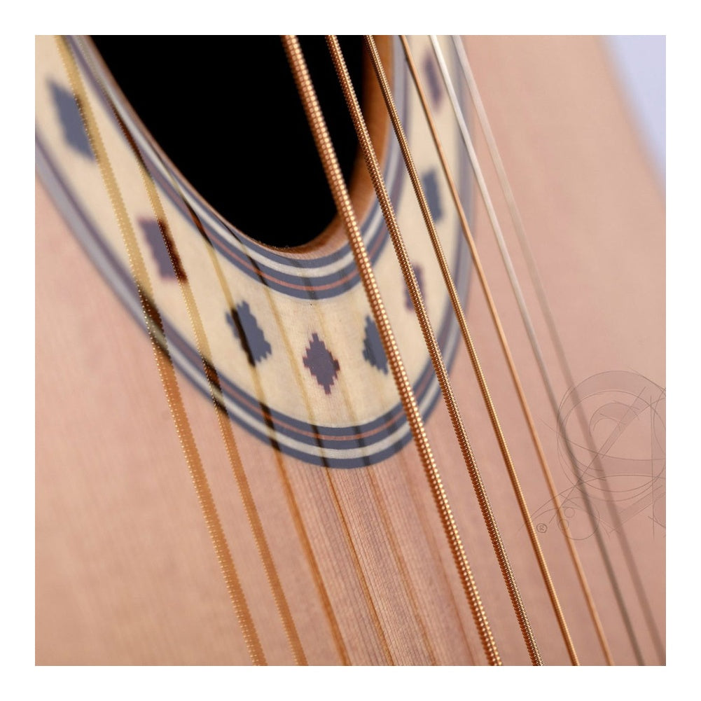 Alhambra CSs-3 CW E9 Steel String Classical Guitar (Cutaway with Fishman Electronics)