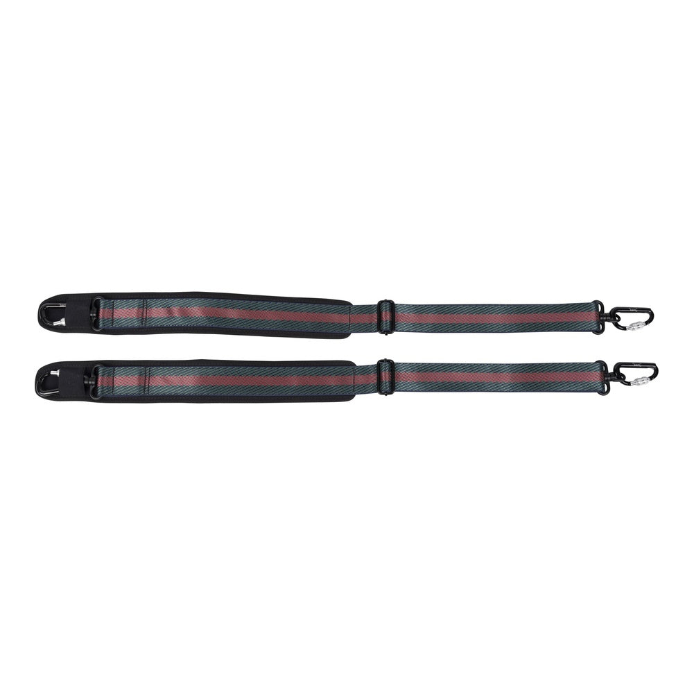 Bam Graffiti Hightech Slim Cello Case – backpack straps