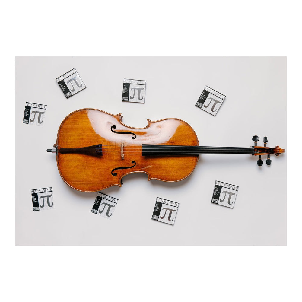 Thomastik-Infeld Peter Infeld Cello String Set