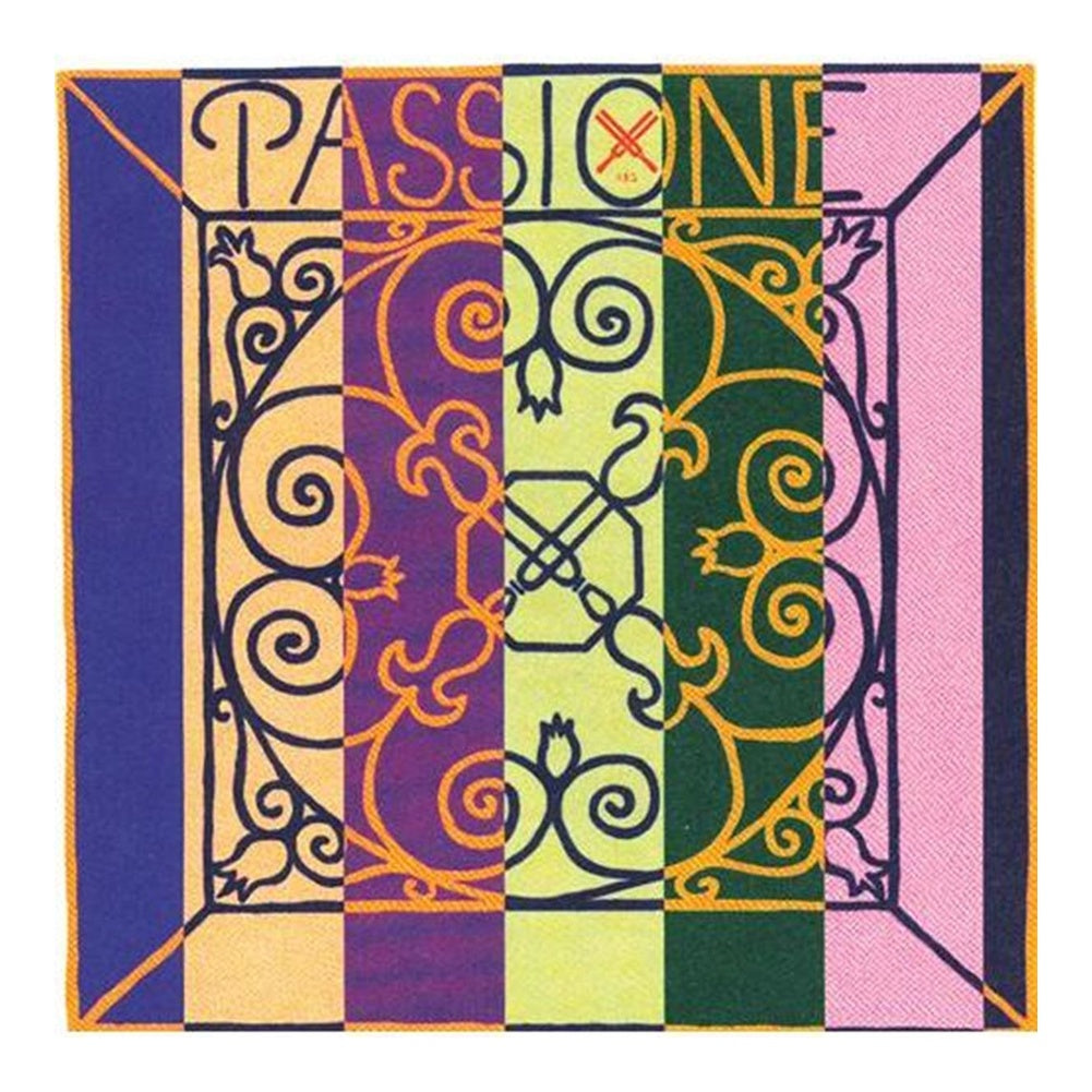 Pirastro Passione Double Bass String Set (Rope Core Steel)