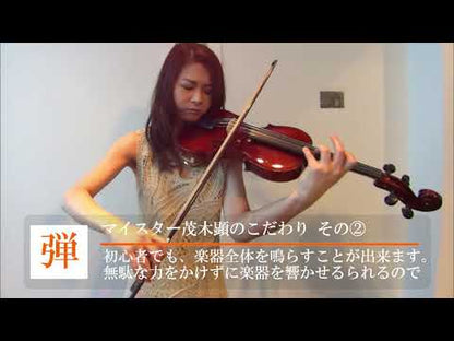 Violon intermédiaire fabriqué à la main avec des bois de résonance européens