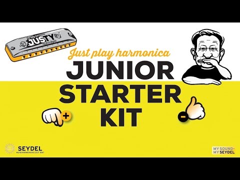 Just Play Harmonica Workshop (Beginner Set) Demo