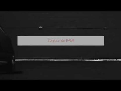 Étui double classique pour violons (pour 2 violons)