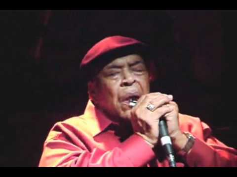 1847 Silver Standard Richter Harmonica (Corrosion-Free) Demo