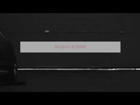 La Defense Hightech Oblong Violin Case (Without Pocket) Demo