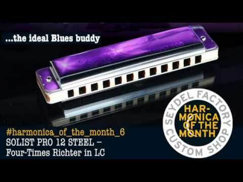 Solist Pro Diatonic Harmonica (Standard Tuning) Demo