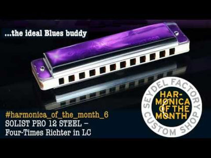 Solist Pro Diatonic Harmonica (Standard Tuning) Demo