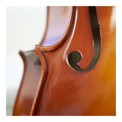 Hora Rhapsody Solid Cello Outfit (European Craftsmanship)