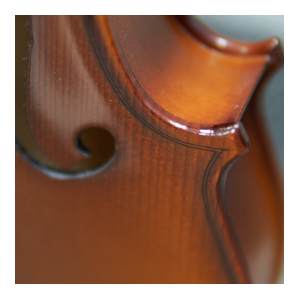 Hora Rhapsody Violin Outfit (Fractional Sizes)