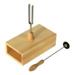 Tuning Fork With Resonance Case