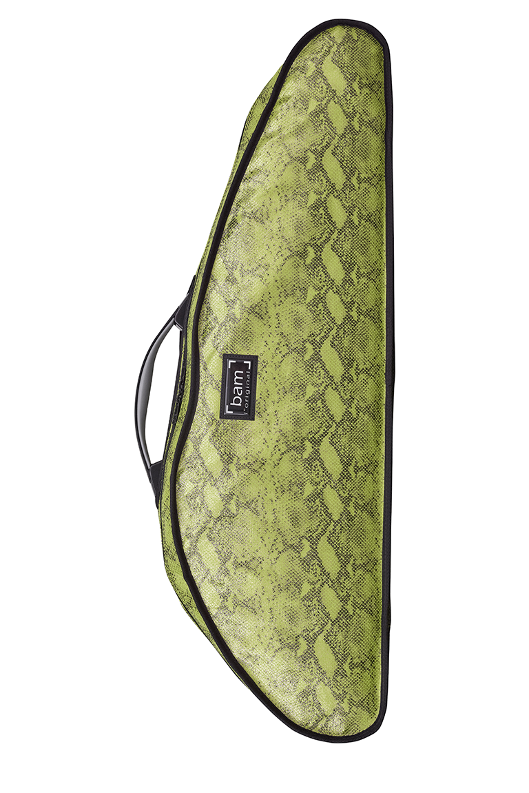 Housse à capuche pour étui de violon fin et high-tech